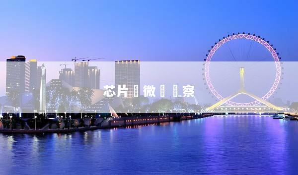 芯片顯微鏡觀察